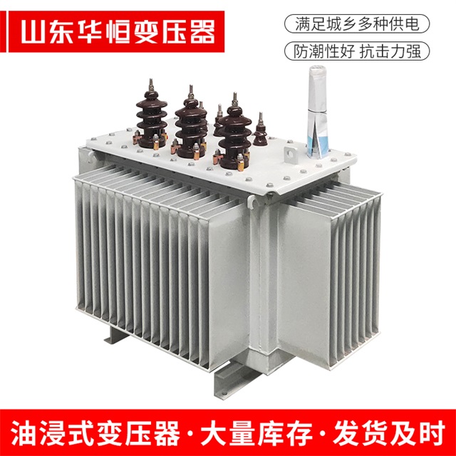 S13-10000/35安康安康安康油浸式变压器厂家